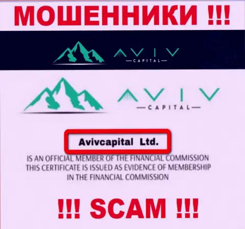 Вот кто владеет компанией АвивКапитал Лтд - это AvivCapital Ltd