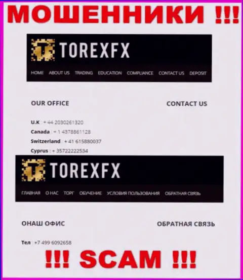 В запасе у internet-мошенников из TorexFX припасен не один номер