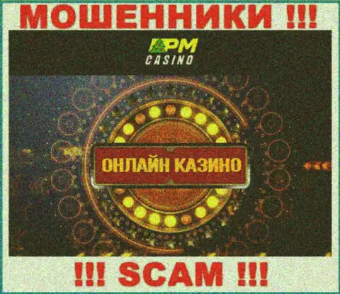 Вид деятельности жуликов PM Casino - это Казино, однако помните это обман !!!