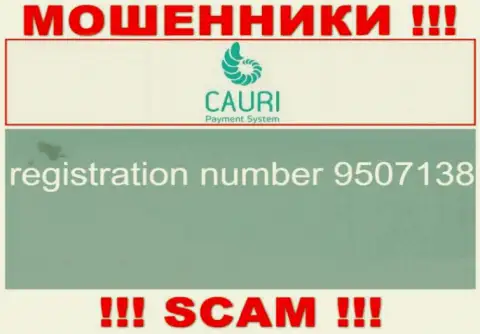 Регистрационный номер, принадлежащий неправомерно действующей организации Каури: 9507138