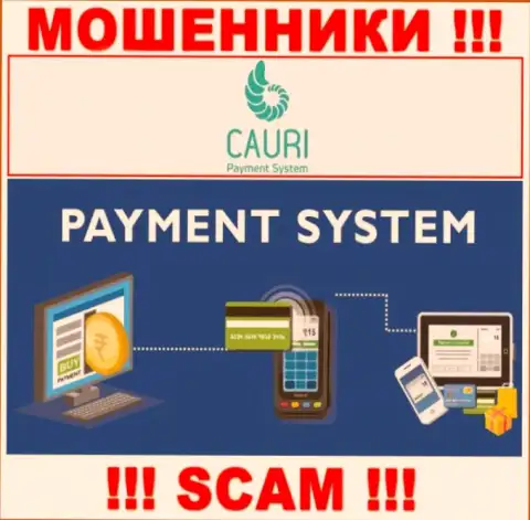 Мошенники Cauri, прокручивая делишки в области Payment system, лишают денег людей