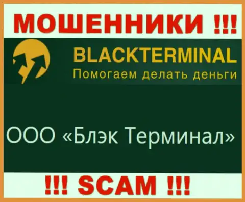 На официальном интернет-портале BlackTerminal Ru отмечено, что юридическое лицо организации - ООО Блэк Терминал