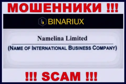 Binariux Net - это интернет-мошенники, а управляет ими Namelina Limited