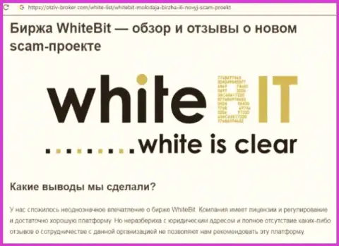 White Bit - это организация, работа с которой приносит только убытки (обзор)