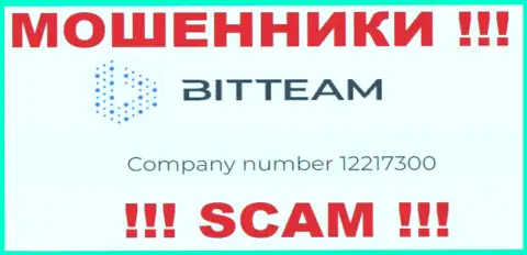 Рег. номер компании BitTeam - 12217300