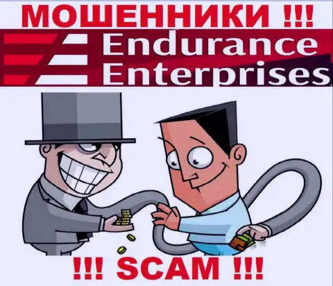 Заработок с конторой Endurance Enterprises Вы не увидите - крайне рискованно вводить дополнительные финансовые средства