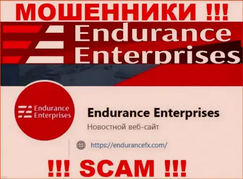 Установить связь с интернет-мошенниками из Endurance FX Вы можете, если напишите сообщение на их е-мейл