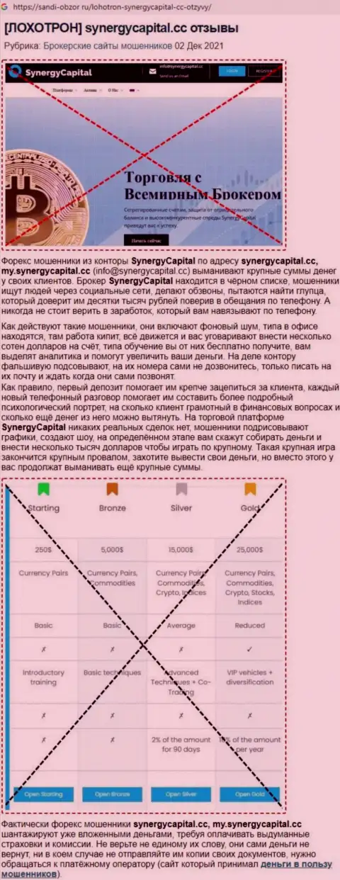 Обзор Synergy Capital с описанием всех признаков противоправных деяний
