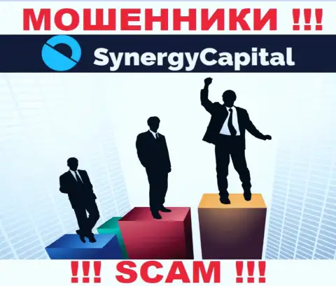 Synergy Capital предпочли оставаться в тени, данных о их руководителях Вы не найдете