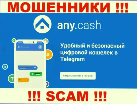 Ани Кэш - это мошенники, их деятельность - Виртуальный кошелек, направлена на воровство депозитов клиентов