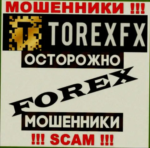 Направление деятельности Торекс ФИкс: Forex - отличный заработок для интернет мошенников